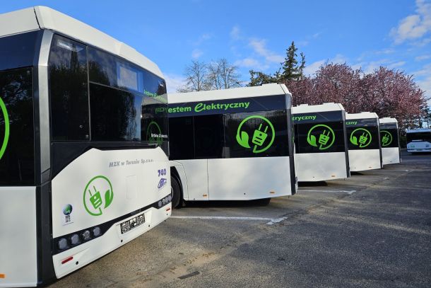 Białe autobusy elektryczne MZK w Toruniu