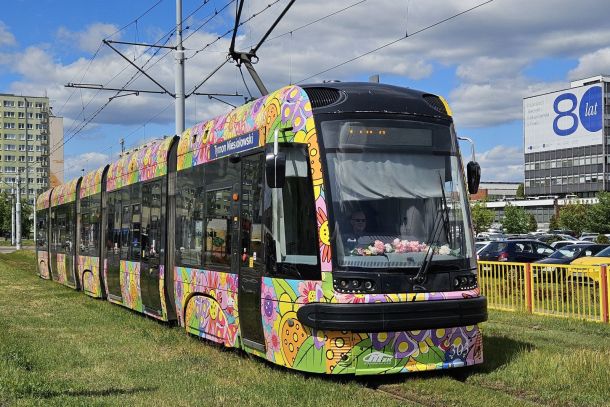 Tramwaj na zielonym torowisku w Toruniu